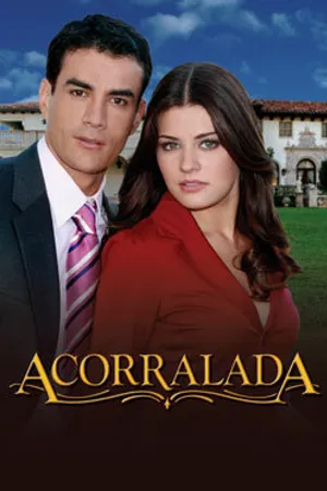 Постер к сериалу Загнанная (2007 - 2008)