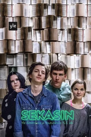 Постер к сериалу Sekasin (2016)