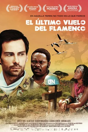 Постер к фильму Последний полет фламинго (2010)