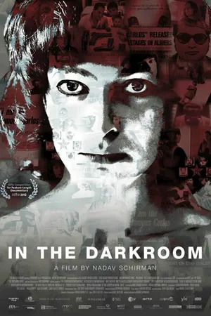 Постер к фильму Тёмная комната (2013)