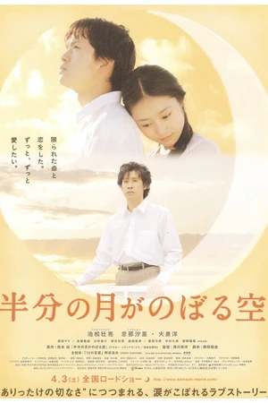 Постер к фильму Глядя на полумесяц (2010)