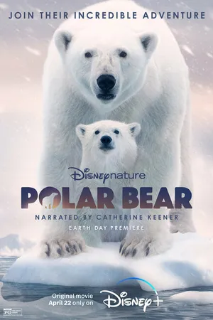 Постер к фильму Белая медведица (2022)