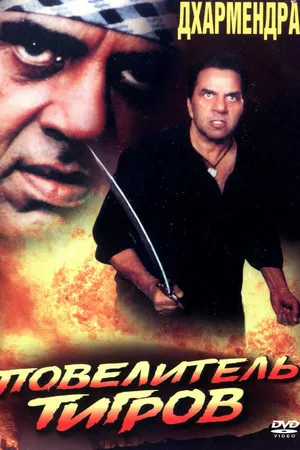Постер к фильму Повелитель тигров (1999)