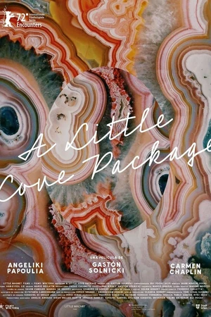 Постер к фильму A Little Love Package (2022)