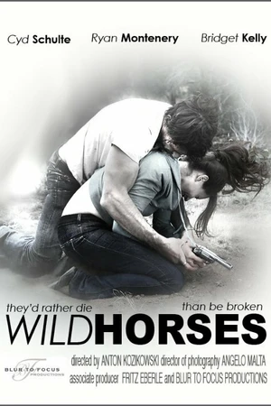 Постер к фильму Wild Horses (2010)