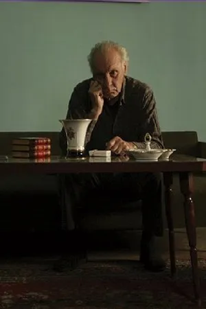 Постер к фильму Liberation in 26 Pictures (2009)