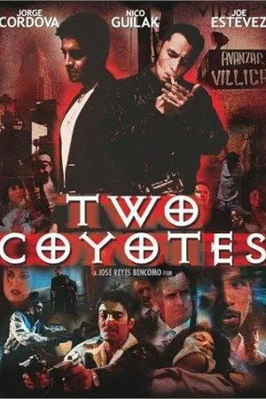 Постер к фильму Two Coyotes (2001)