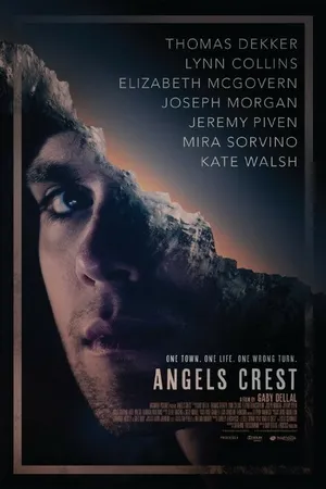 Постер к фильму Герб ангелов (2011)