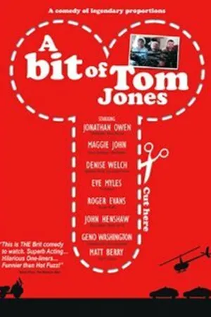Постер к фильму A Bit of Tom Jones? (2009)