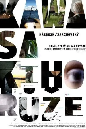 Постер к фильму Роза Кавасаки (2009)
