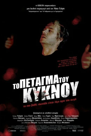 Постер к фильму Полёт лебедя (2011)