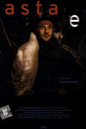 Постер к фильму То, что это (2001)