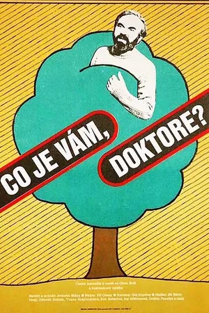Постер к фильму Что с вами, доктор? (1985)
