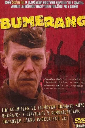 Постер к фильму Бумеранг (1996)