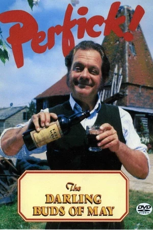 Постер к сериалу Нежные майские цветы (1991 - 1993)