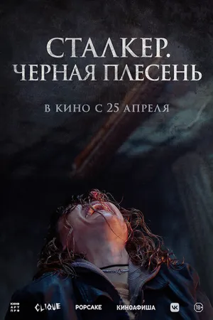 Постер к фильму Сталкер. Черная плесень (2023)