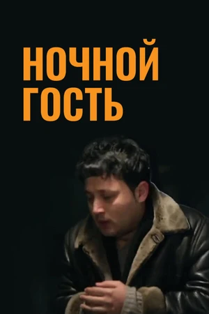 Постер к фильму Ночной гость (2014)