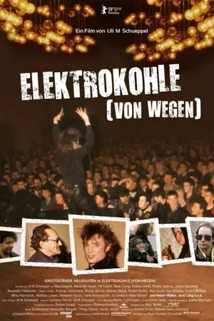 Постер к фильму Elektrokohle (Von wegen) (2009)
