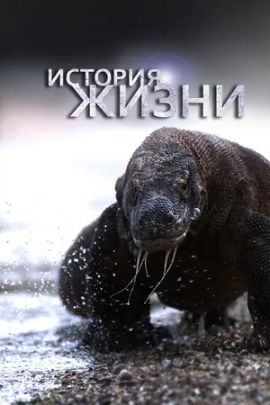 Постер к сериалу История жизни (2012)