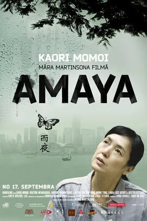 Постер к фильму Гонконг, конфиденциально (2010)