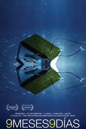 Постер к фильму 9 месяцев, 9 дней (2009)