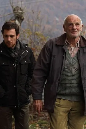 Постер к фильму L'ape e il vento (2009)