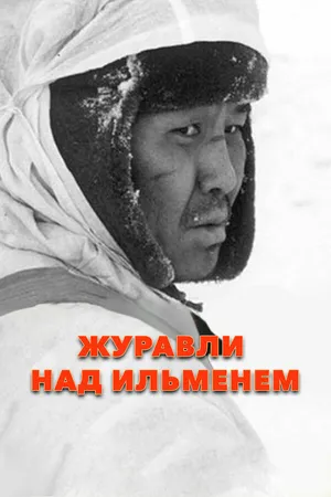 Постер к фильму Журавли над Ильменем (2005)