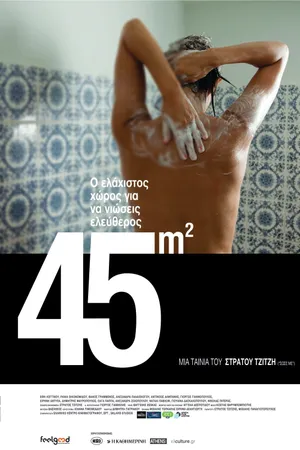 Постер к фильму 45m2 (2010)