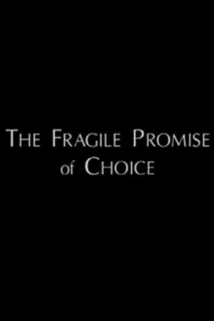 Постер к фильму The Fragile Promise of Choice: Abortion in the United States Today (1996)