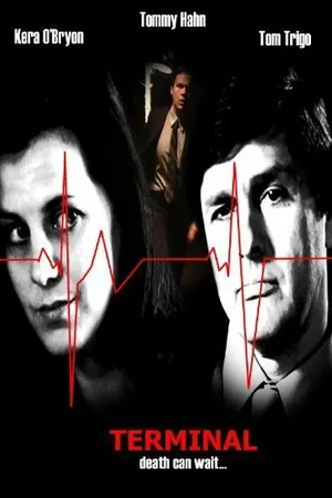 Постер к фильму Terminal (2006)