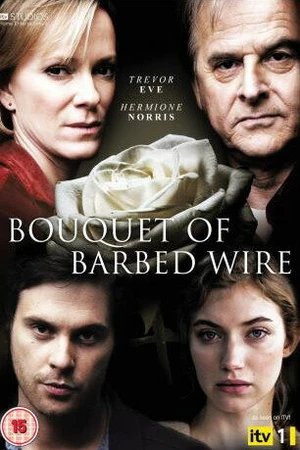 Постер к сериалу Букет колючей проволоки (2010)