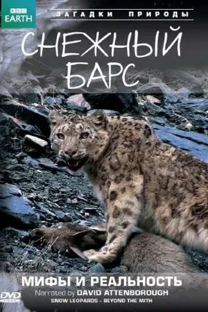 Постер к фильму BBC: Снежный барс: Мифы и реальности (2007)