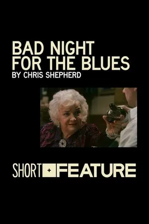 Постер к фильму Bad Night for the Blues (2010)
