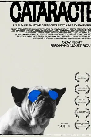 Постер к фильму Катаракта (2021)