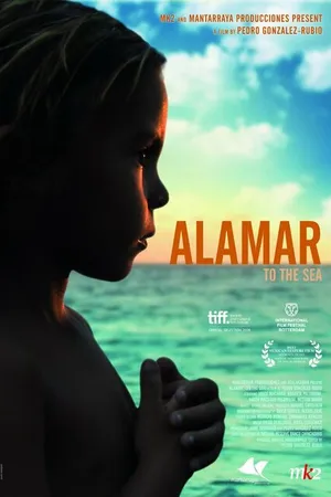 Постер к фильму К морю (2009)
