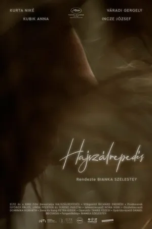 Постер к фильму Hajszálrepedés (2022)