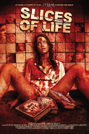 Постер к фильму Кусочки жизни (2010)