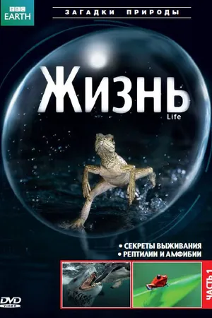 Постер к сериалу BBC: Жизнь (2009)