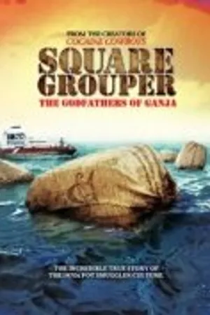 Постер к фильму Square Grouper (2011)