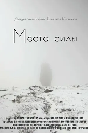 Постер к фильму Место силы (2020)