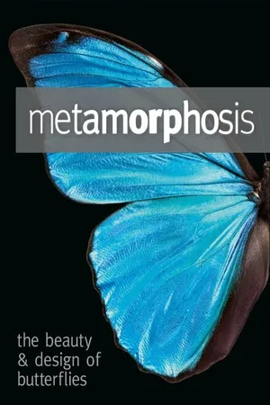 Постер к фильму Метаморфозы: Красота и дизайн бабочек (2011)