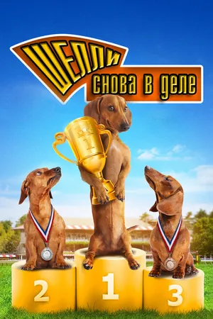 Постер к фильму Шелли снова в деле: Часть 1 (2013)