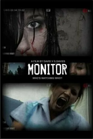 Постер к фильму Монитор (2011)