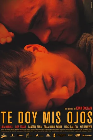 Постер к фильму Возьми мои глаза (2003)