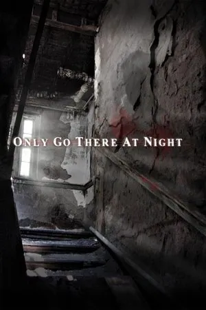 Постер к фильму Only Go There at Night (2008)