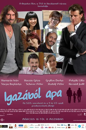Постер к фильму На самом деле, папа (2010)