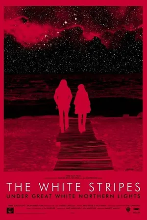 Постер к фильму The White Stripes под северным сиянием (2009)
