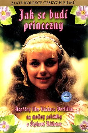 Постер к фильму Как разбудить принцессу (1978)