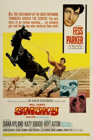 Постер к фильму Дымка (1966)