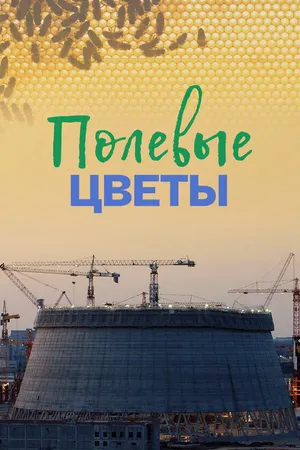 Постер к фильму Полевые цветы (2022)